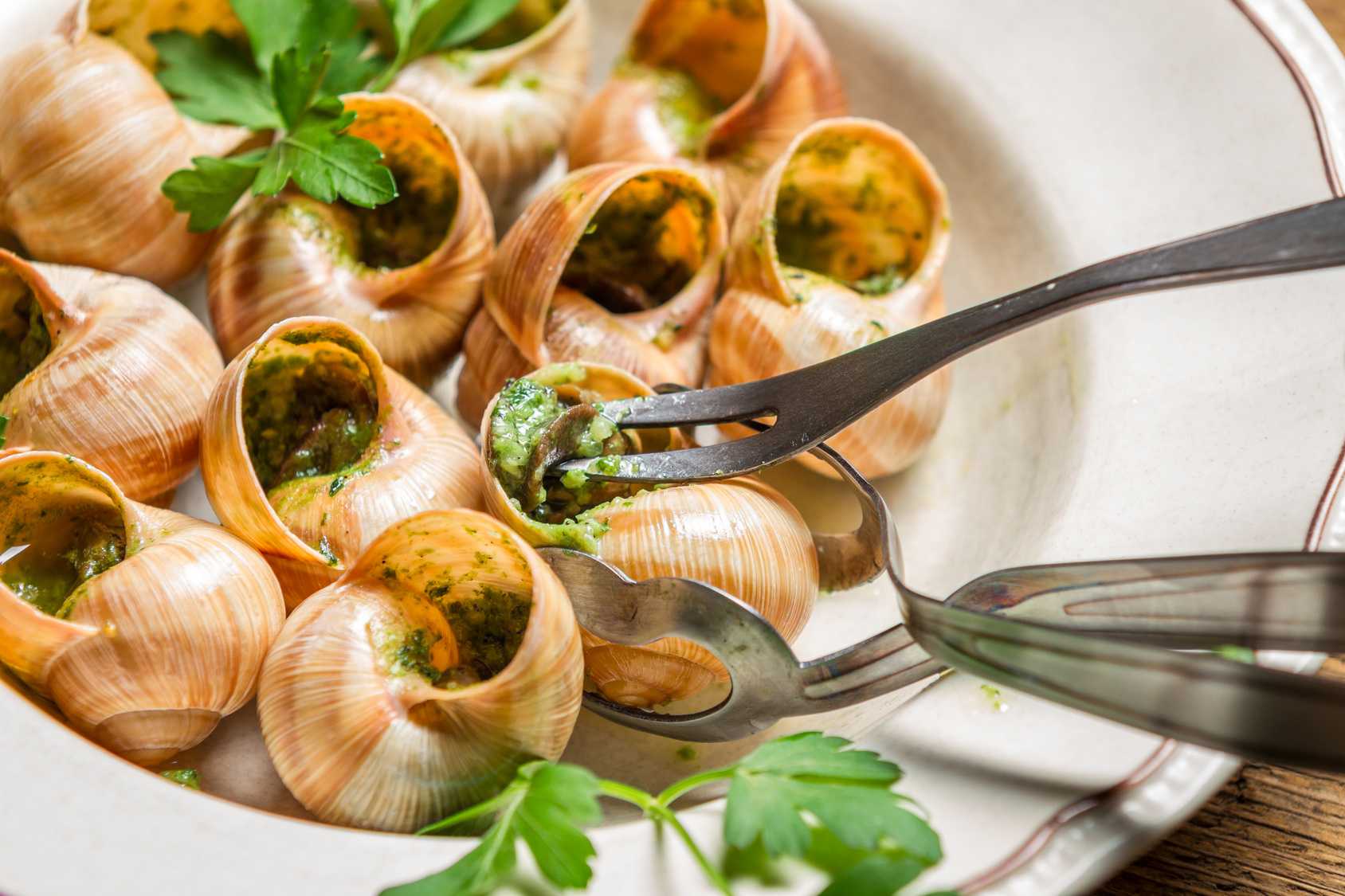 Bật mí những món ăn bổ dưỡng được chế biến từ ốc sên của người Pháp