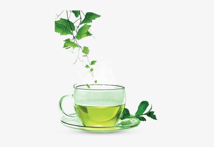 Chiết xuất trà xanh chứa nhiều yếu tố tốt cho sức khỏe