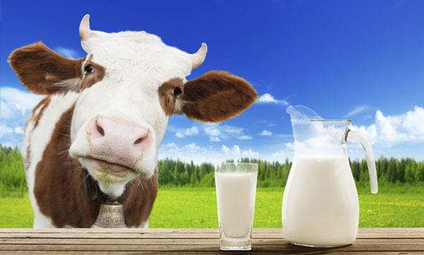 Sữa có những chất gây hại đến dạ dày non nớt của bé 