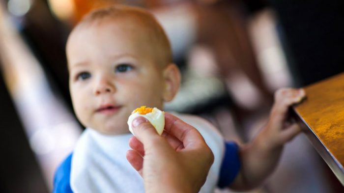 Trẻ em dưới 1 tuổi chỉ nên ăn lòng đỏ trứng