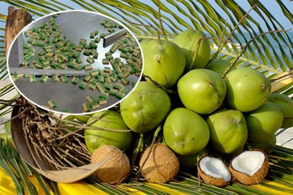Tìm hiểu về kẹo dừa – đặc sản của vùng Bến Tre sông nước